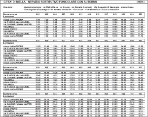sostitutivo funicoalre
